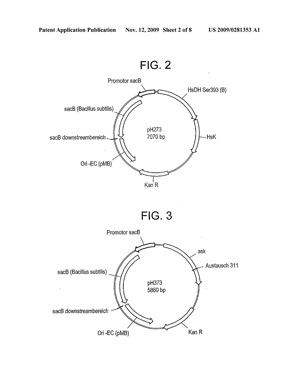 Use of dimethyl disulfide for methionine production in microoragnisms - diagram, schematic, and image 03