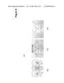 SYSTEM AND METHOD FOR PERIODIC BODY SCAN DIFFERENCING diagram and image