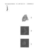 SYSTEM AND METHOD FOR PERIODIC BODY SCAN DIFFERENCING diagram and image