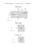 MICROCHIP AND CHANNEL STRUCTURE FOR THE SAME diagram and image