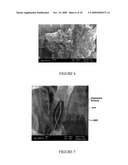 Carbon Nanotube Mediated Membrane Extraction diagram and image