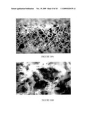 Carbon Nanotube Mediated Membrane Extraction diagram and image