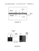 Carbon Nanotube Mediated Membrane Extraction diagram and image