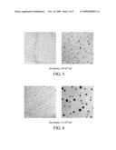 NON-VOLATILE MEMORY STRUCTURE AND METHOD FOR PREPARING THE SAME diagram and image