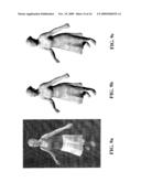 SYSTEMS, METHODS AND DEVICES FOR MOTION CAPTURE USING VIDEO IMAGING diagram and image