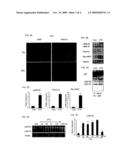 Regenerating and enhancing development of muscle tissue diagram and image