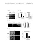 Regenerating and enhancing development of muscle tissue diagram and image