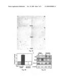 Aberrant expression of CKS1 and CKS2 and uses thereof diagram and image