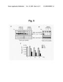 Anti-Met Monoclonal Antibody, Fragments and Vectors Thereof, for the Treatment of Tumors and Corresponding Products diagram and image