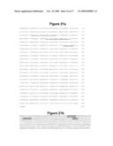 Anti-Met Monoclonal Antibody, Fragments and Vectors Thereof, for the Treatment of Tumors and Corresponding Products diagram and image