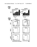 ANTI-CD19 ANTIBODIES AND USES IN ONCOLOGY diagram and image