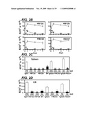 ANTI-CD19 ANTIBODIES AND USES IN ONCOLOGY diagram and image