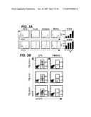 ANTI-CD19 ANTIBODIES AND USES IN ONCOLOGY diagram and image