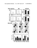 ANTI-CD19 ANTIBODIES AND USES IN ONCOLOGY diagram and image