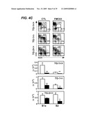 ANTI-CD19 ANTIBODIES AND USES IN ONCOLOGY diagram and image