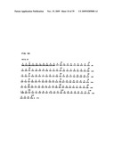 ANTI-CD19 ANTIBODIES AND USES IN ONCOLOGY diagram and image