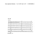 ANTI-CD19 ANTIBODIES AND USES IN ONCOLOGY diagram and image