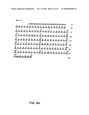 ANTI-CD19 ANTIBODIES AND USES IN ONCOLOGY diagram and image