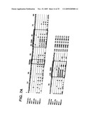 ANTI-CD19 ANTIBODIES AND USES IN ONCOLOGY diagram and image