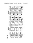 ANTI-CD19 ANTIBODIES AND USES IN ONCOLOGY diagram and image