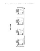 ANTI-CD19 ANTIBODIES AND USES IN ONCOLOGY diagram and image