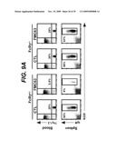 ANTI-CD19 ANTIBODIES AND USES IN ONCOLOGY diagram and image