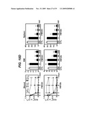 ANTI-CD19 ANTIBODIES AND USES IN ONCOLOGY diagram and image