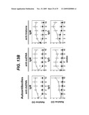 ANTI-CD19 ANTIBODIES AND USES IN ONCOLOGY diagram and image