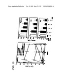 ANTI-CD19 ANTIBODIES AND USES IN ONCOLOGY diagram and image