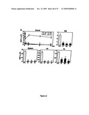 ANTI-CD19 ANTIBODIES AND USES IN ONCOLOGY diagram and image