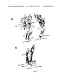 MUTANTS OF CHOLESTEROL-DEPENDENT CYTOLYSINS AND USES THEREOF diagram and image