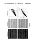 Compositions And Methods For Immunodominant Antigens of Mycobacterium Tuberculosis diagram and image