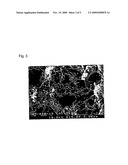 ANTIFUNGAL/ANTIBACTERIAL AGENT COMPRISING TWO-STEP BAKED SHELL POWDER diagram and image