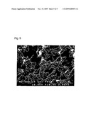 ANTIFUNGAL/ANTIBACTERIAL AGENT COMPRISING TWO-STEP BAKED SHELL POWDER diagram and image