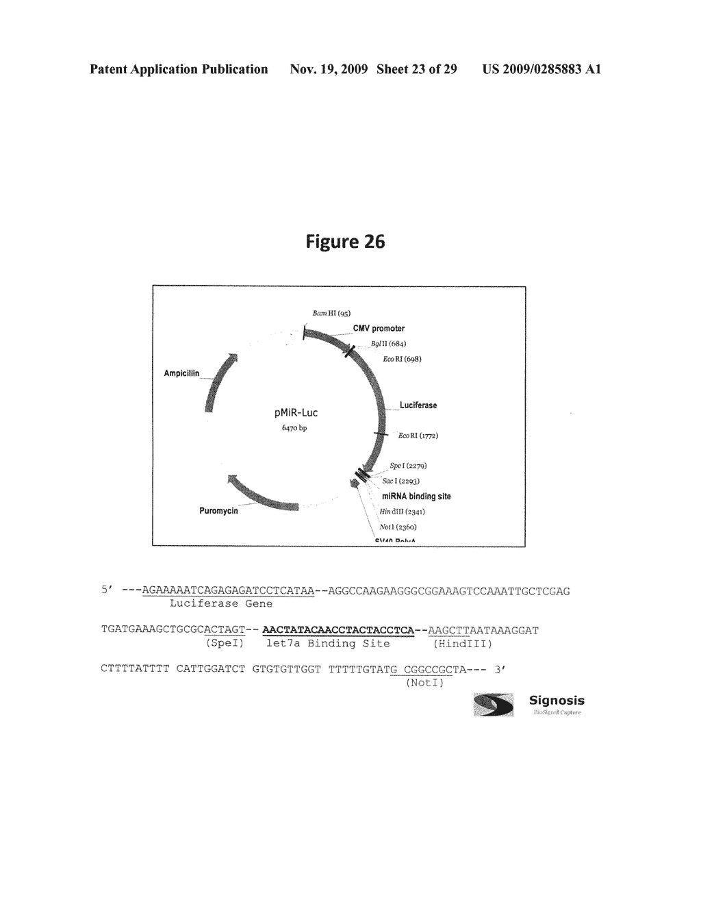 Identification of gastrointestinal, pancreatic and cancer stem cell markers and methods of use thereof - diagram, schematic, and image 24