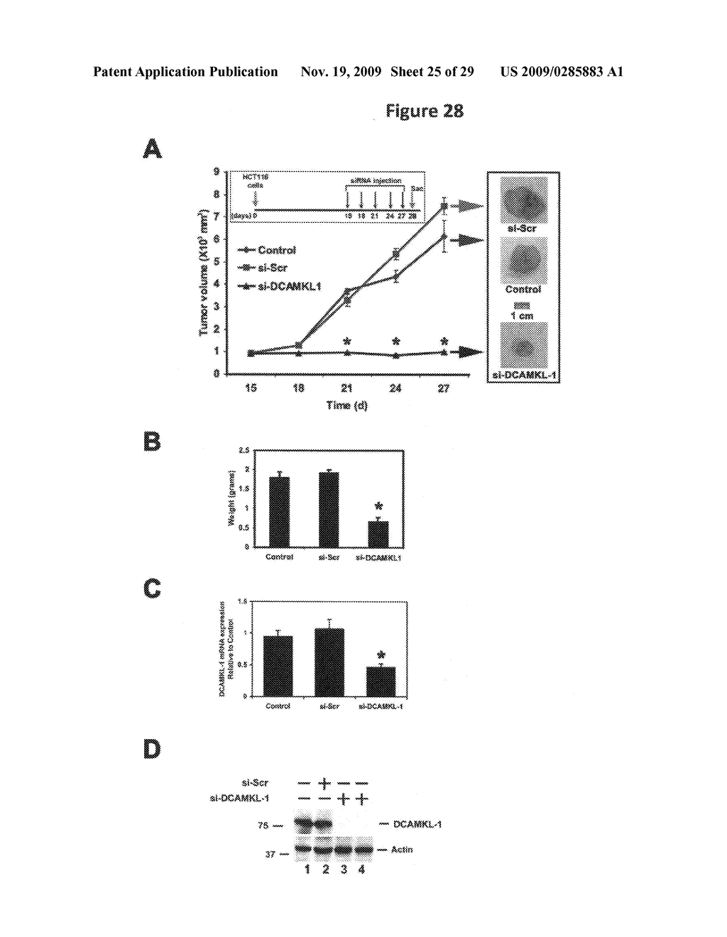 Identification of gastrointestinal, pancreatic and cancer stem cell markers and methods of use thereof - diagram, schematic, and image 26