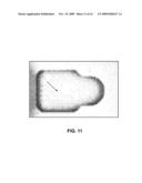 Methods, Devices, Kits and Compositions for Detecting Whipworm diagram and image