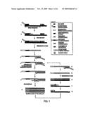 INACTIVATABLE TARGET CAPTURE OLIGOMERS FOR USE IN THE SELECTIVE HYBRIDIZATION AND CAPTURE OF TARGET NUCLEIC ACID SEQUENCES diagram and image