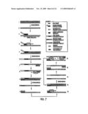 INACTIVATABLE TARGET CAPTURE OLIGOMERS FOR USE IN THE SELECTIVE HYBRIDIZATION AND CAPTURE OF TARGET NUCLEIC ACID SEQUENCES diagram and image