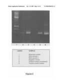 INCORPORATING SOLUBLE SECURITY MARKERS INTO CYANOACRYLATE SOLUTIONS diagram and image