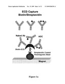 ANALYSIS OF ANTIBODY DRUG CONJUGATES BY BEAD-BASED AFFINITY CAPTURE AND MASS SPECTROMETRY diagram and image