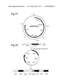 METHOD FOR ACHIEVING IMPROVED POLYPEPTIDE EXPRESSION diagram and image