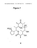 BORRELIDIN-PRODUCING POLYKETIDE SYNTHASE AND ITS USE diagram and image