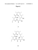 BORRELIDIN-PRODUCING POLYKETIDE SYNTHASE AND ITS USE diagram and image