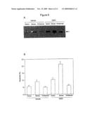 NON-STEROIDAL ANTI-INFLAMMATORY DRUG ACTIVATED GENE WITH ANTI-TUMORIGENIC PROPERTIES diagram and image