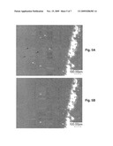 TREATMENT OF WHISKERS diagram and image