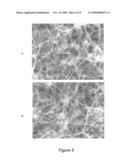 SINGLE-WALLED CARBON NANOTUBE CATALYST diagram and image