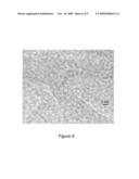 SINGLE-WALLED CARBON NANOTUBE CATALYST diagram and image