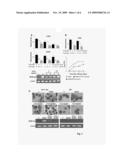 USE OF THE LONG PENTRAXIN PTX3 FOR THE PREVENTION OR TREATMENT OF VIRAL DISEASES diagram and image