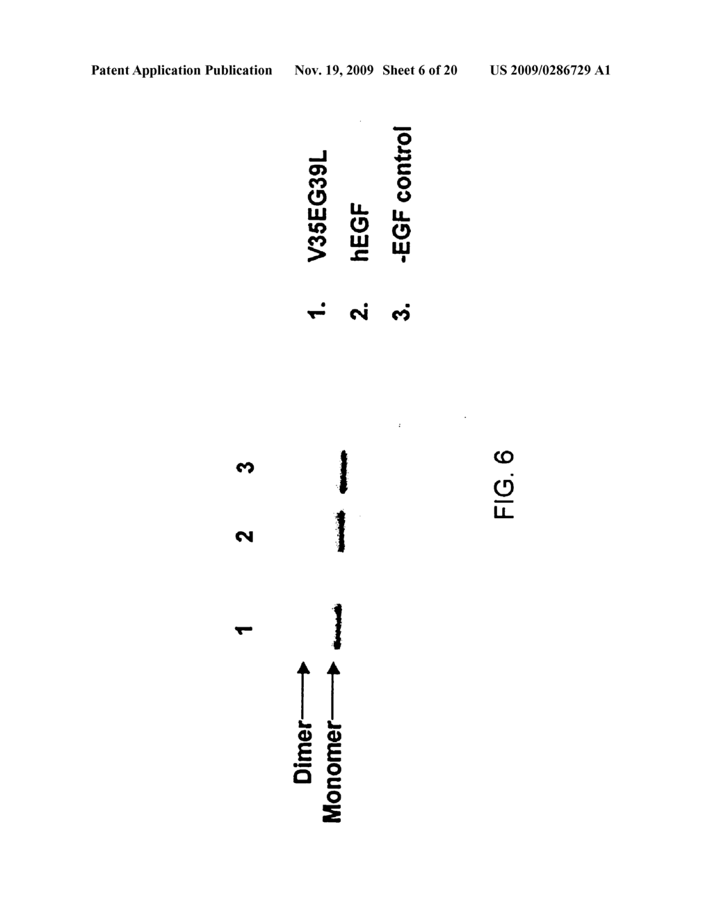 Epidermal Growth Factor Receptor Antagonists and Methods of Use - diagram, schematic, and image 07